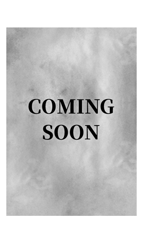 Battle Spirits 能量&卡牌套裝2026の商品画像